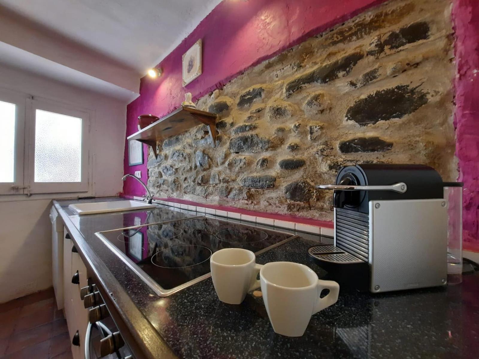 Casa Rural Cal Rocco Porta Del Pirineu Pobla de Segur Exteriör bild